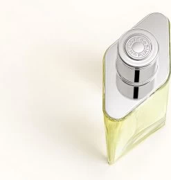 Hermes H24 Eau De Toilette Spray 100 Ml -Luxe Geur Verkoopwinkel 1142x1200