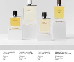 Hermès Terre D'Hermès 50ml - Eau De Toilette - Herenparfum -Luxe Geur Verkoopwinkel 1200x1014 1