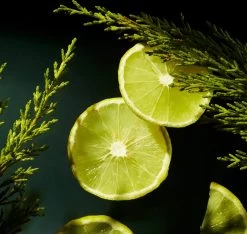 RITUALS Life Is A Journey - Homme Car Perfume - 6 Ml -Luxe Geur Verkoopwinkel 1200x1136 3