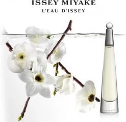 Issey Miyake L'Eau D'Issey 25 Ml - Eau De Toilette - Damesparfum -Luxe Geur Verkoopwinkel 1200x1168 1