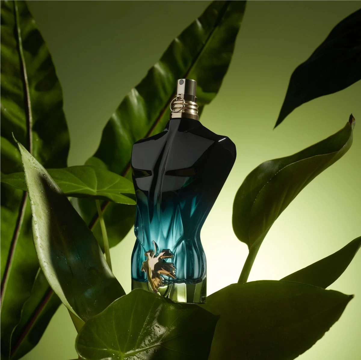 Jean Paul Gaultier Le Beau Le Parfum - 75 Ml - Eau De Parfum Spray - Herenparfum 8 Jean Paul Gaultier Le Beau Le Parfum - 75 Ml - Eau De Parfum Spray - Herenparfum - Afbeelding 8