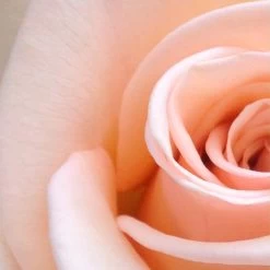 Spider-Man Geschenkset - Eau De Toilette 100 Ml & Douchegel 60 Ml - Met Toilettas -Luxe Geur Verkoopwinkel 1200x1200 319