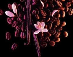 Yves Saint Laurent Black Opium 30 Ml - Eau De Parfum - Damesparfum -Luxe Geur Verkoopwinkel 1200x943