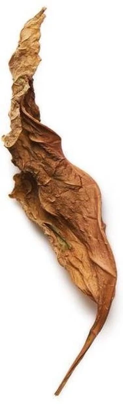 Giorgio Armani Acqua Di Gio Profumo 125 Ml - Eau De Parfum - Herenparfum -Luxe Geur Verkoopwinkel 365x1200 1