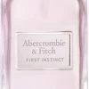 Abercrombie & Fitch First Instinct 100 Ml - Eau De Parfum - Damesparfum